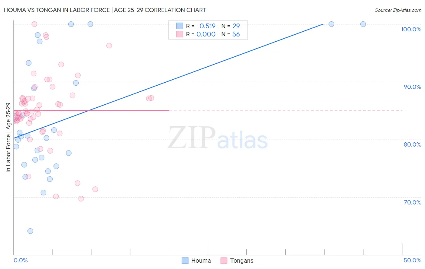 Houma vs Tongan In Labor Force | Age 25-29