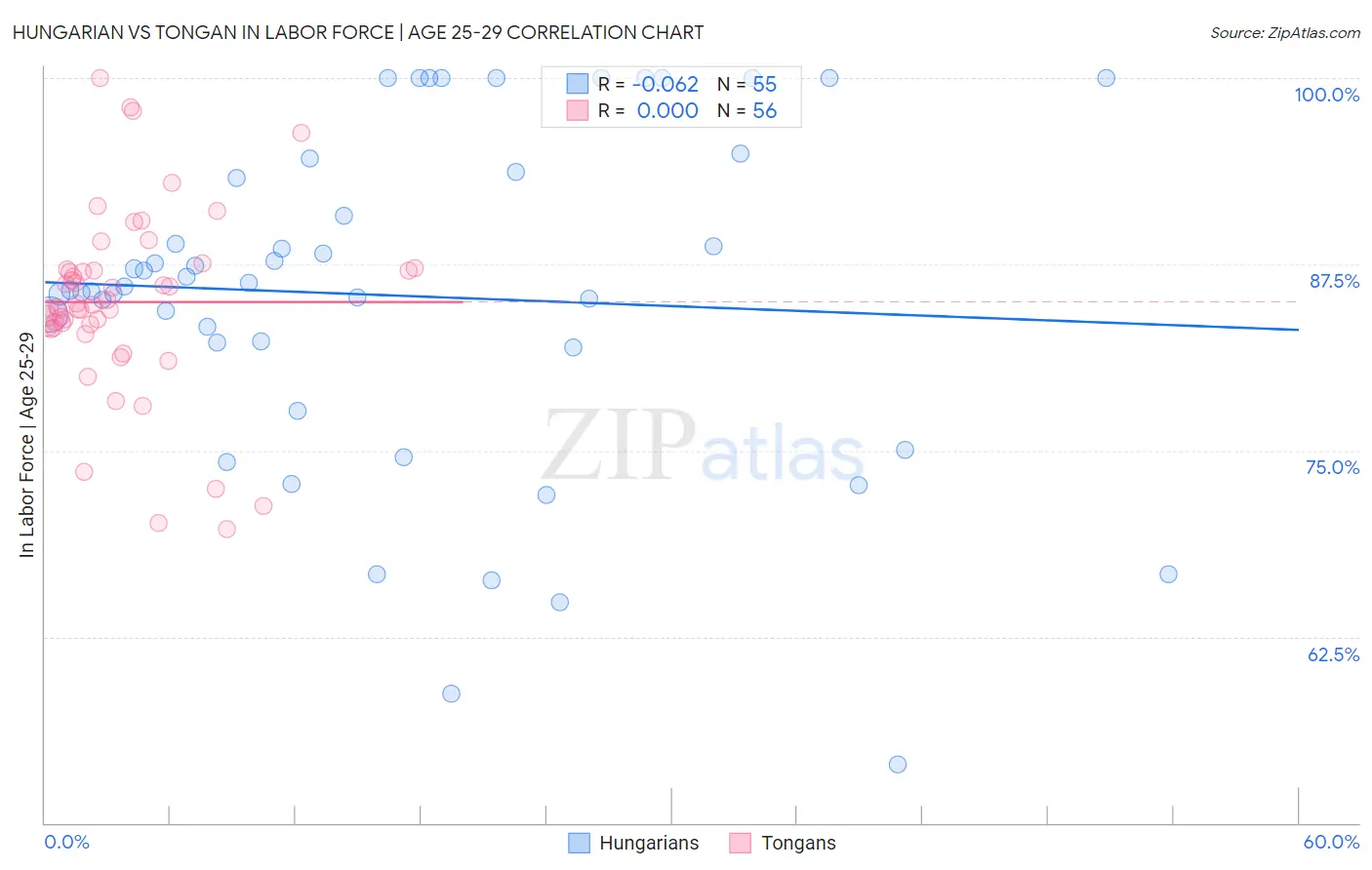 Hungarian vs Tongan In Labor Force | Age 25-29