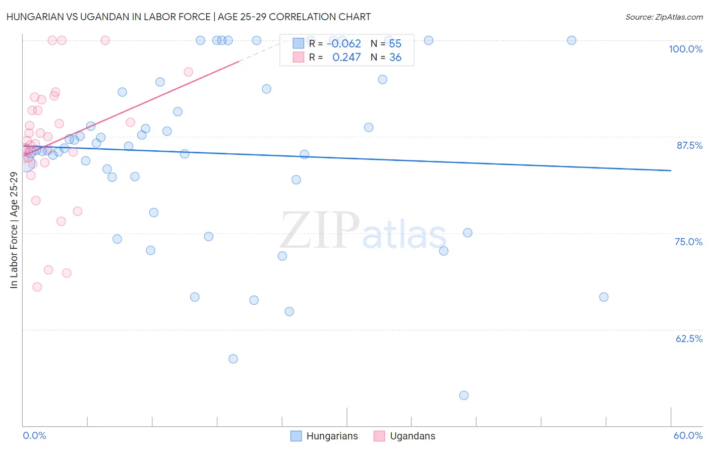 Hungarian vs Ugandan In Labor Force | Age 25-29