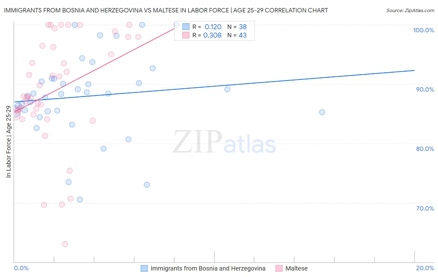 Immigrants from Bosnia and Herzegovina vs Maltese In Labor Force | Age 25-29