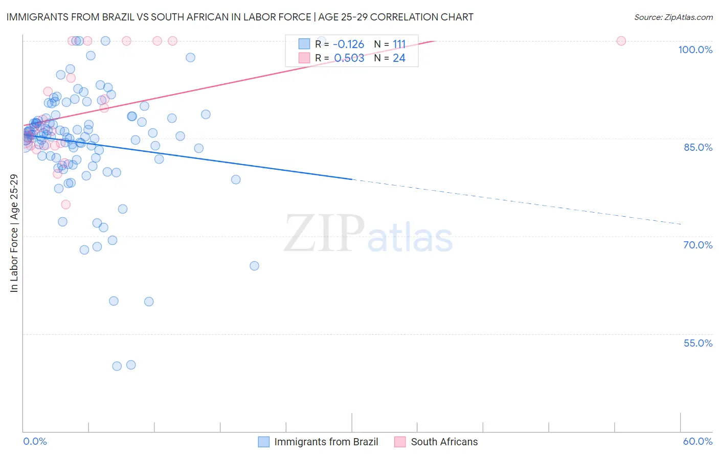 Immigrants from Brazil vs South African In Labor Force | Age 25-29