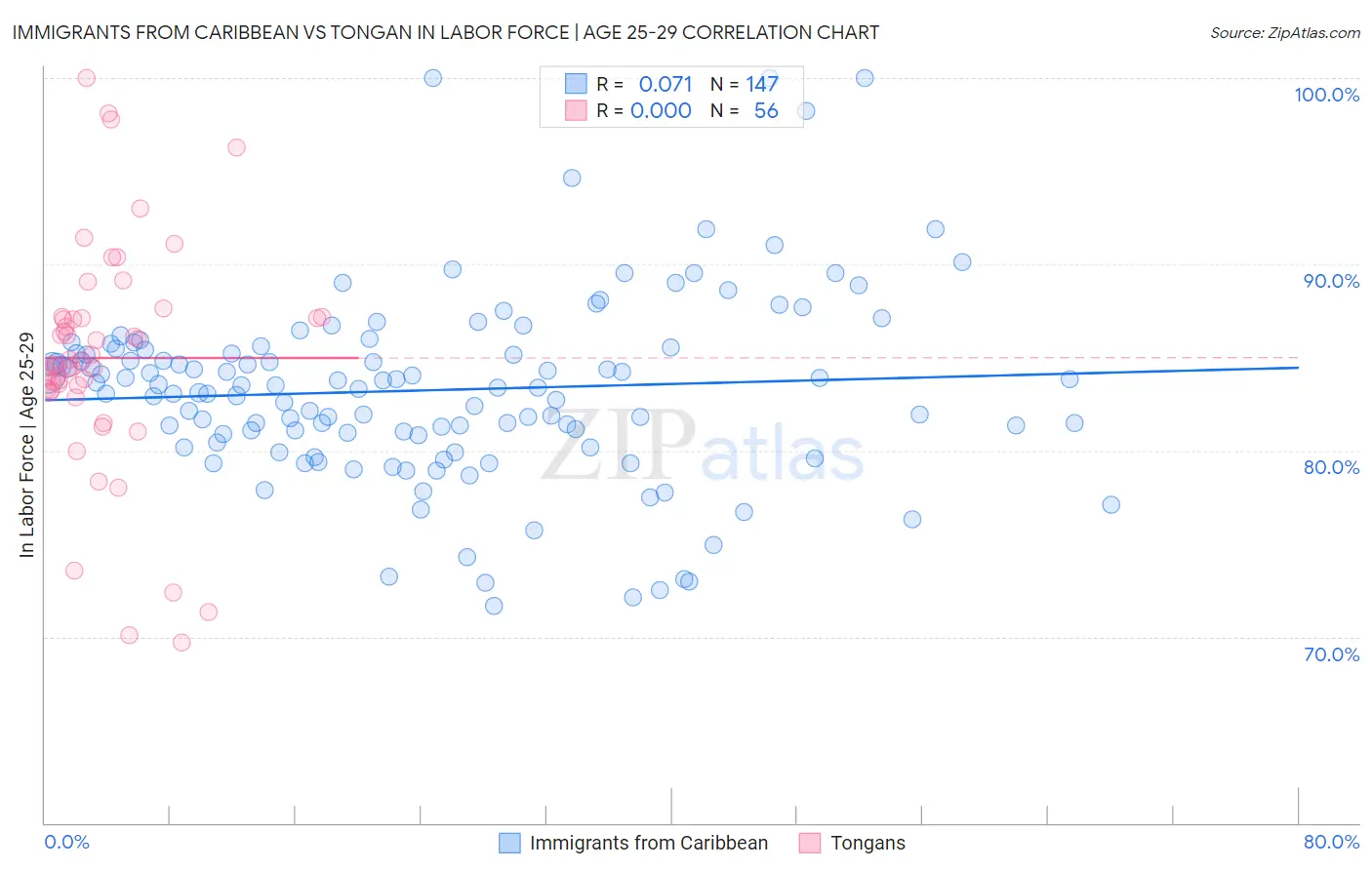 Immigrants from Caribbean vs Tongan In Labor Force | Age 25-29