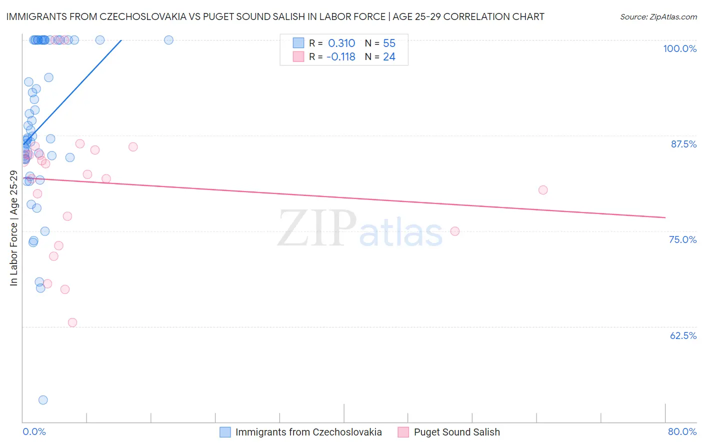 Immigrants from Czechoslovakia vs Puget Sound Salish In Labor Force | Age 25-29