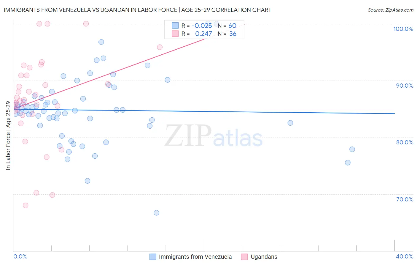 Immigrants from Venezuela vs Ugandan In Labor Force | Age 25-29