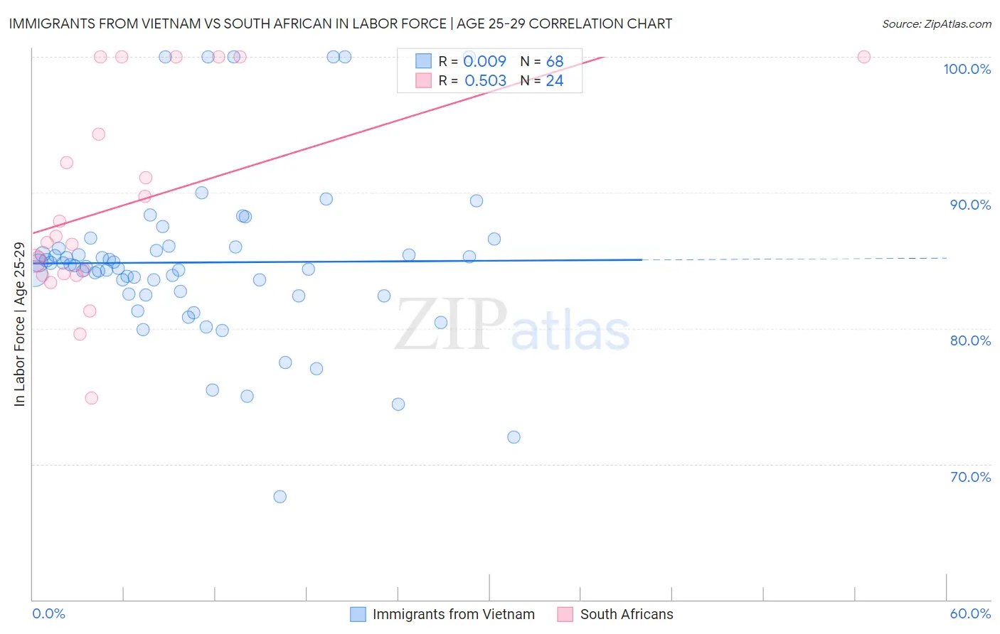 Immigrants from Vietnam vs South African In Labor Force | Age 25-29