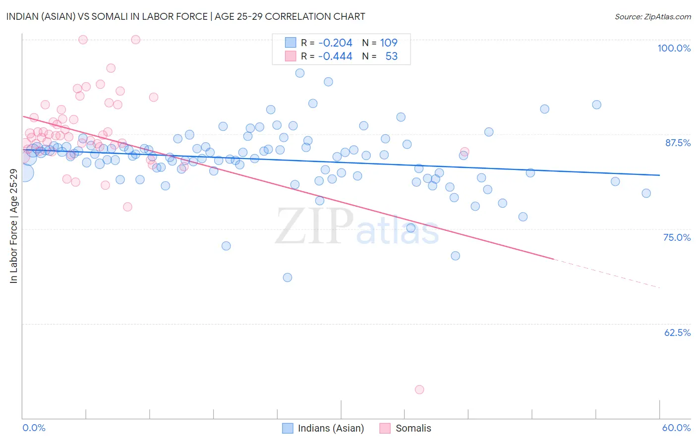 Indian (Asian) vs Somali In Labor Force | Age 25-29