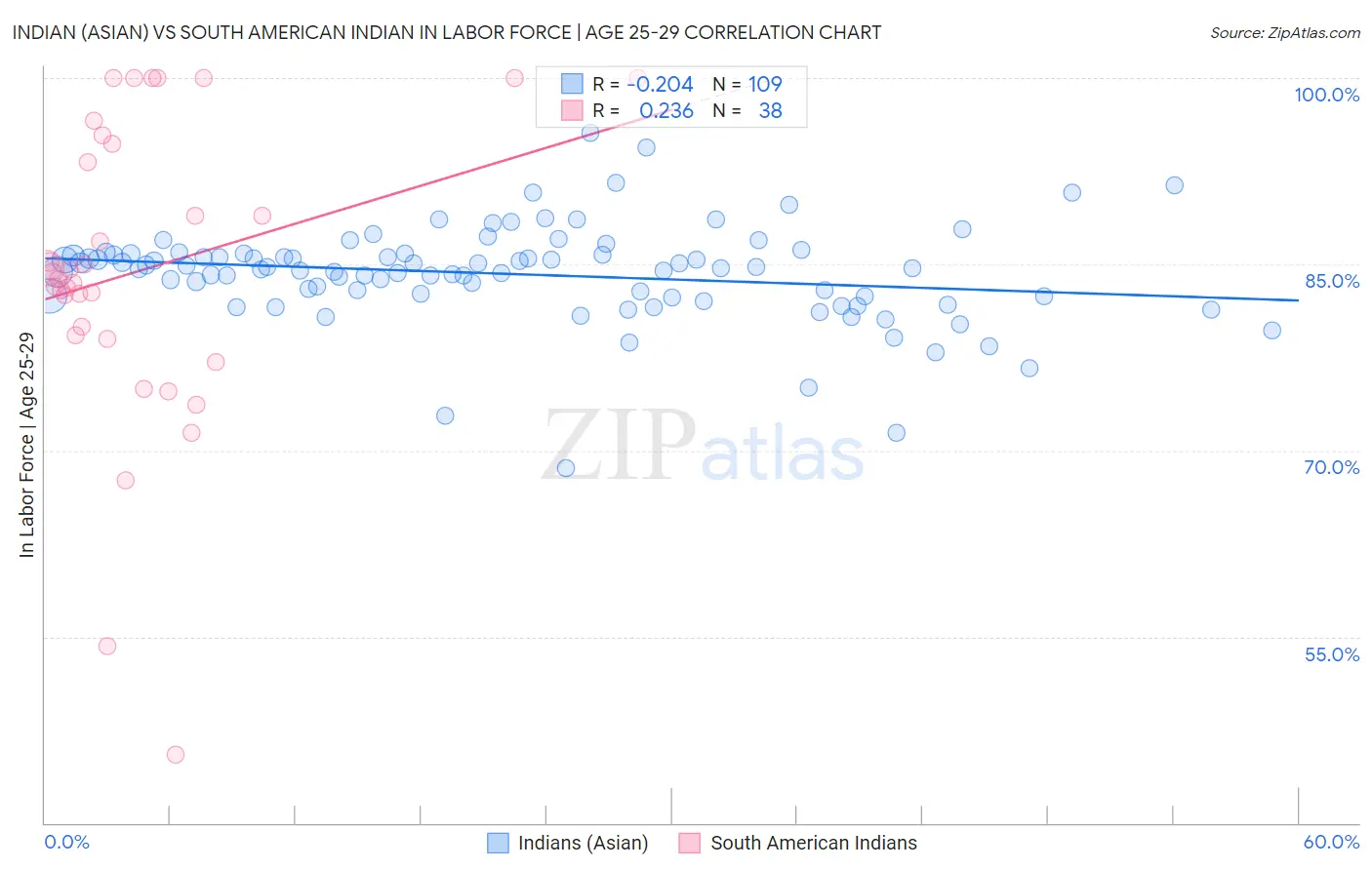 Indian (Asian) vs South American Indian In Labor Force | Age 25-29