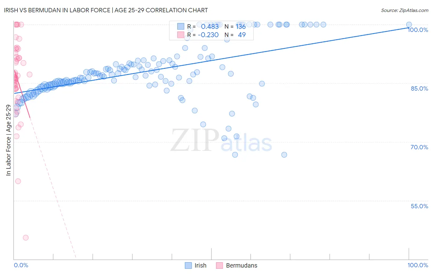 Irish vs Bermudan In Labor Force | Age 25-29