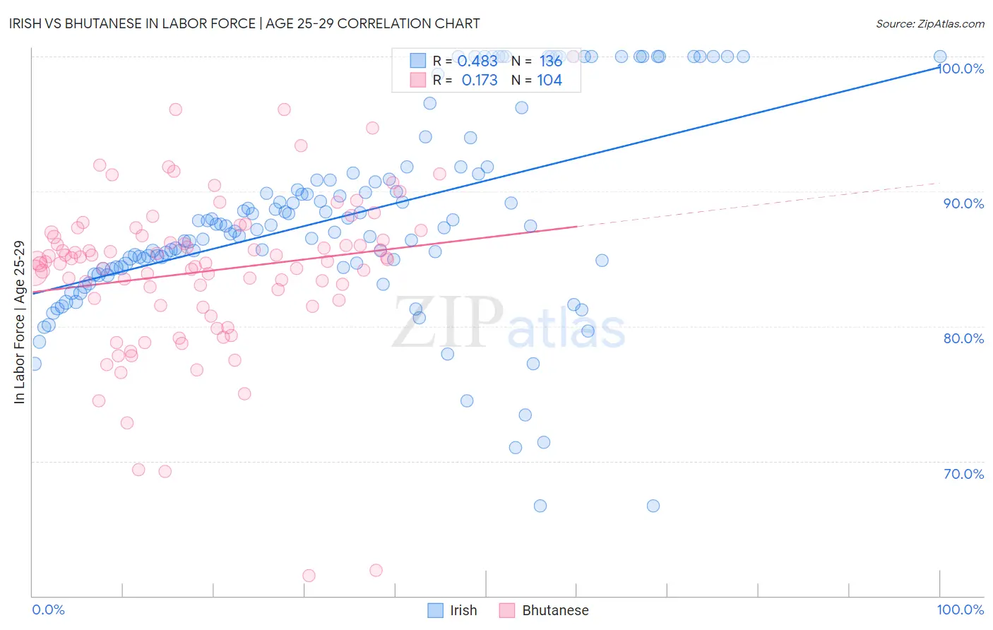 Irish vs Bhutanese In Labor Force | Age 25-29