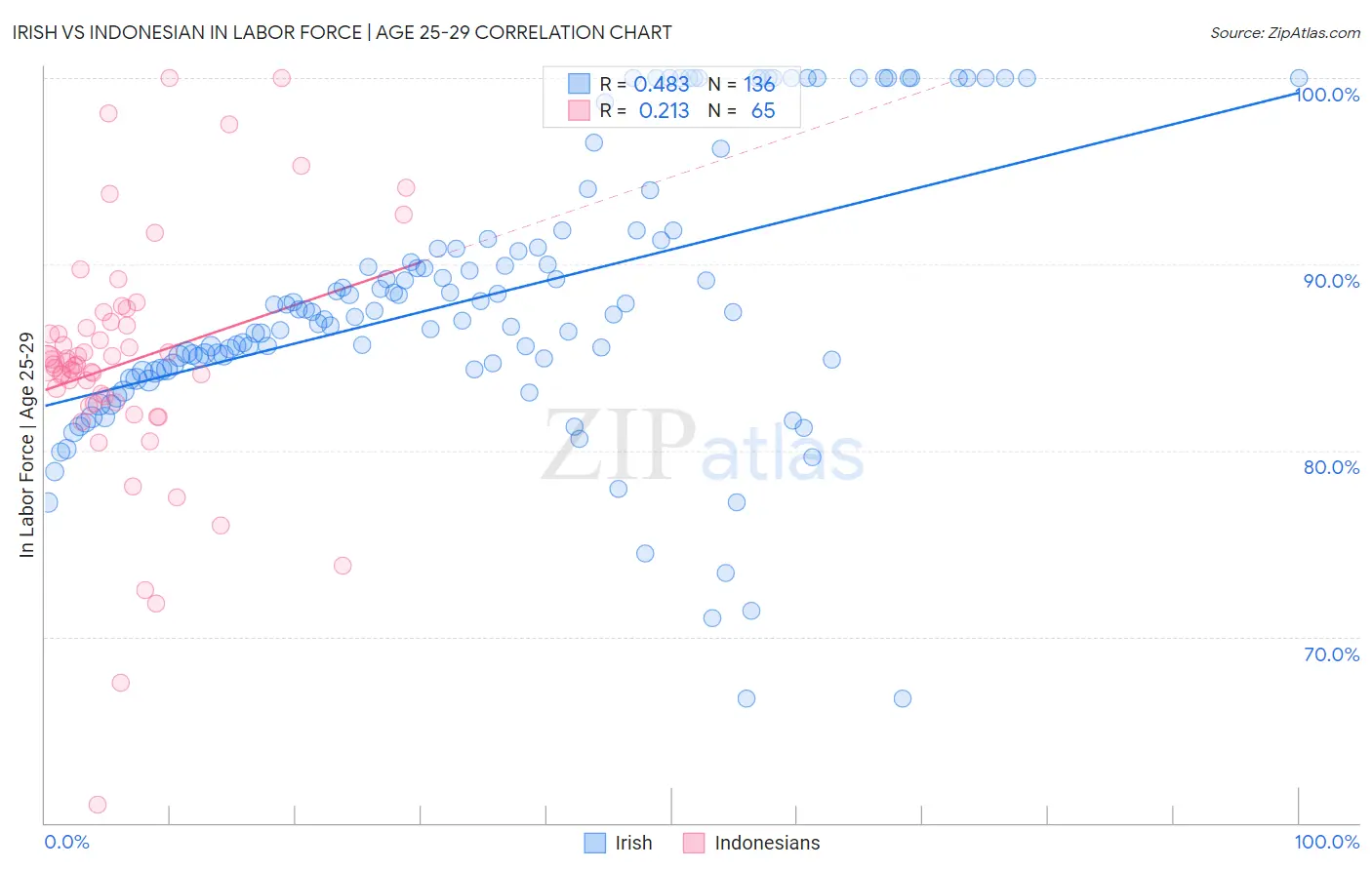 Irish vs Indonesian In Labor Force | Age 25-29