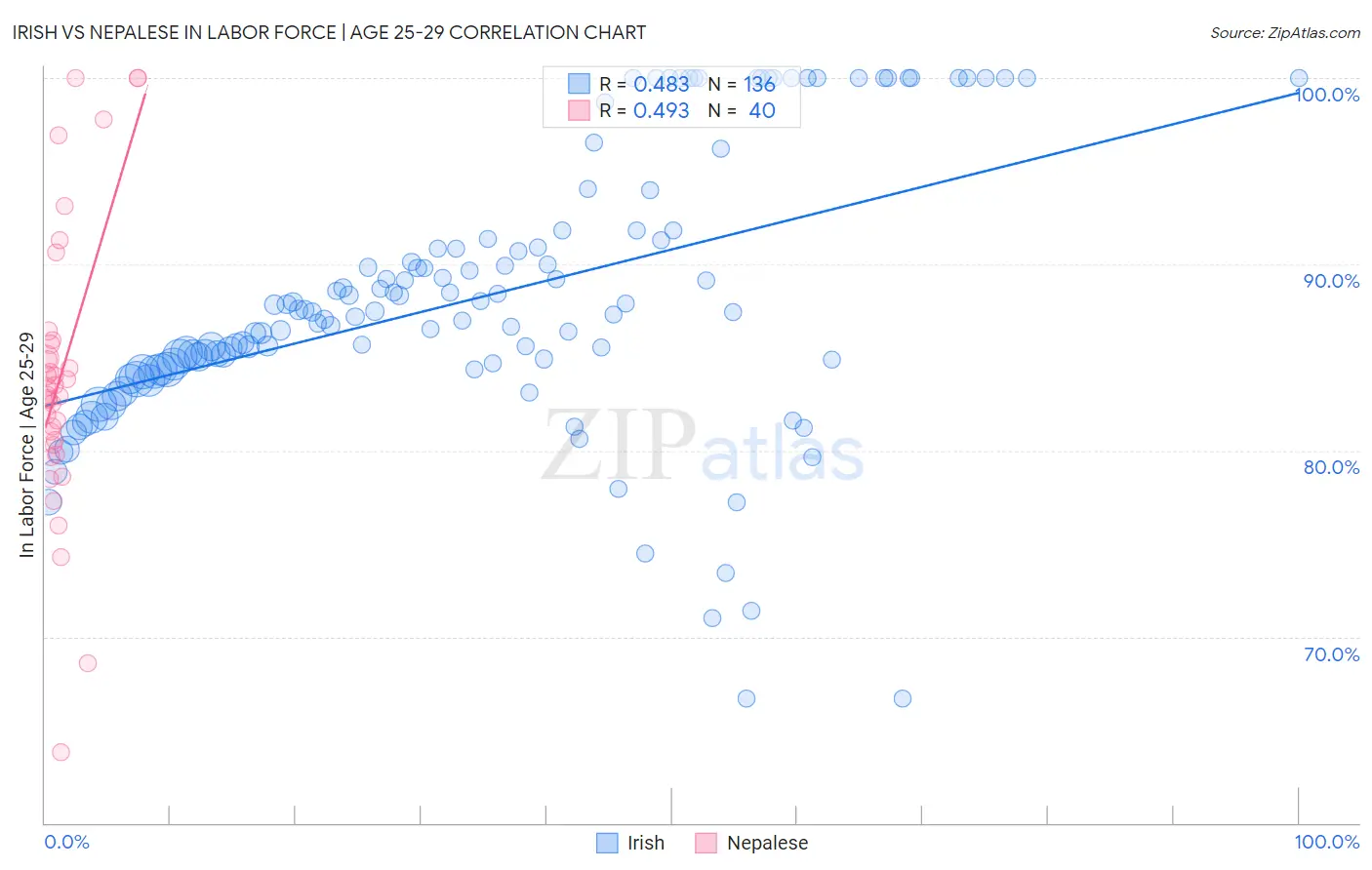 Irish vs Nepalese In Labor Force | Age 25-29