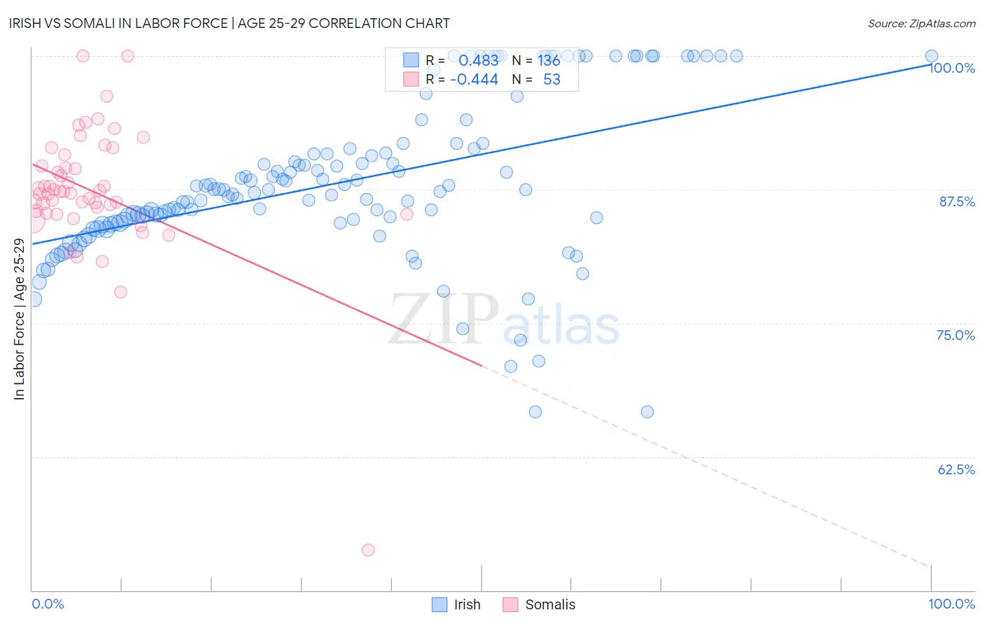 Irish vs Somali In Labor Force | Age 25-29