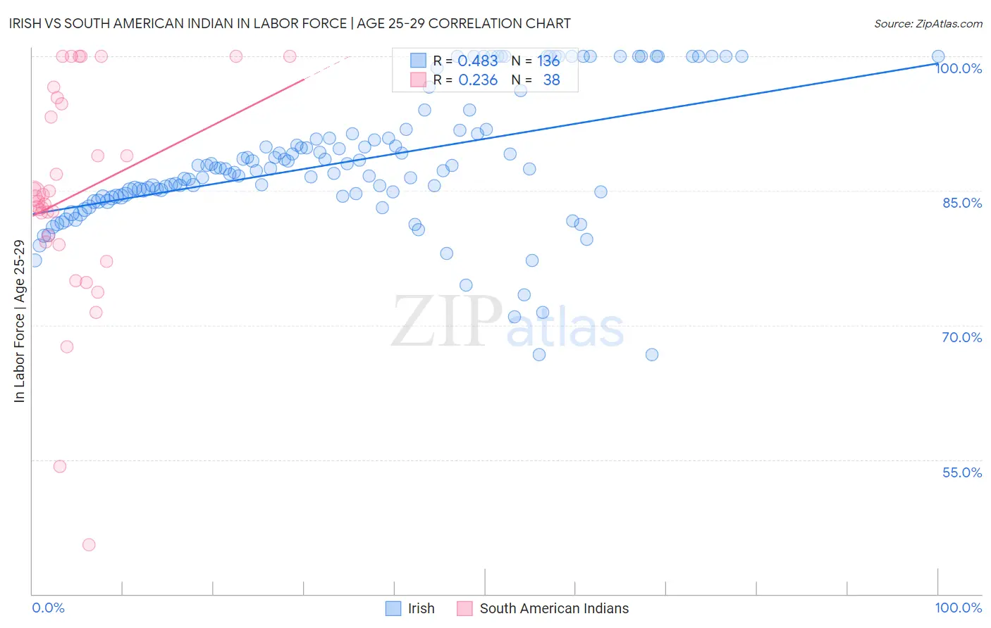 Irish vs South American Indian In Labor Force | Age 25-29