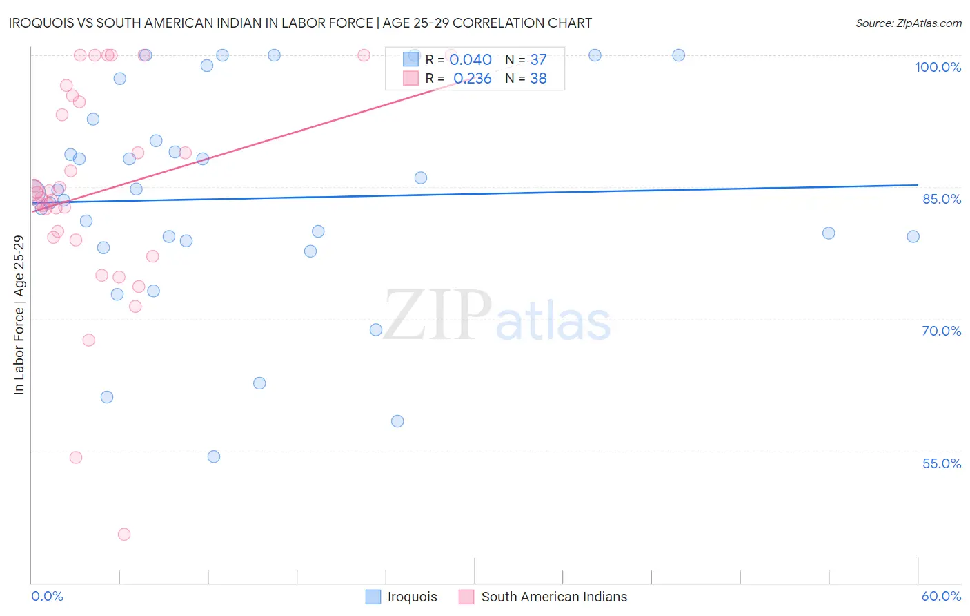 Iroquois vs South American Indian In Labor Force | Age 25-29