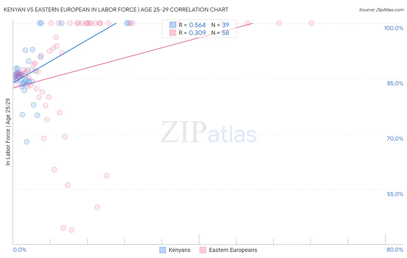 Kenyan vs Eastern European In Labor Force | Age 25-29