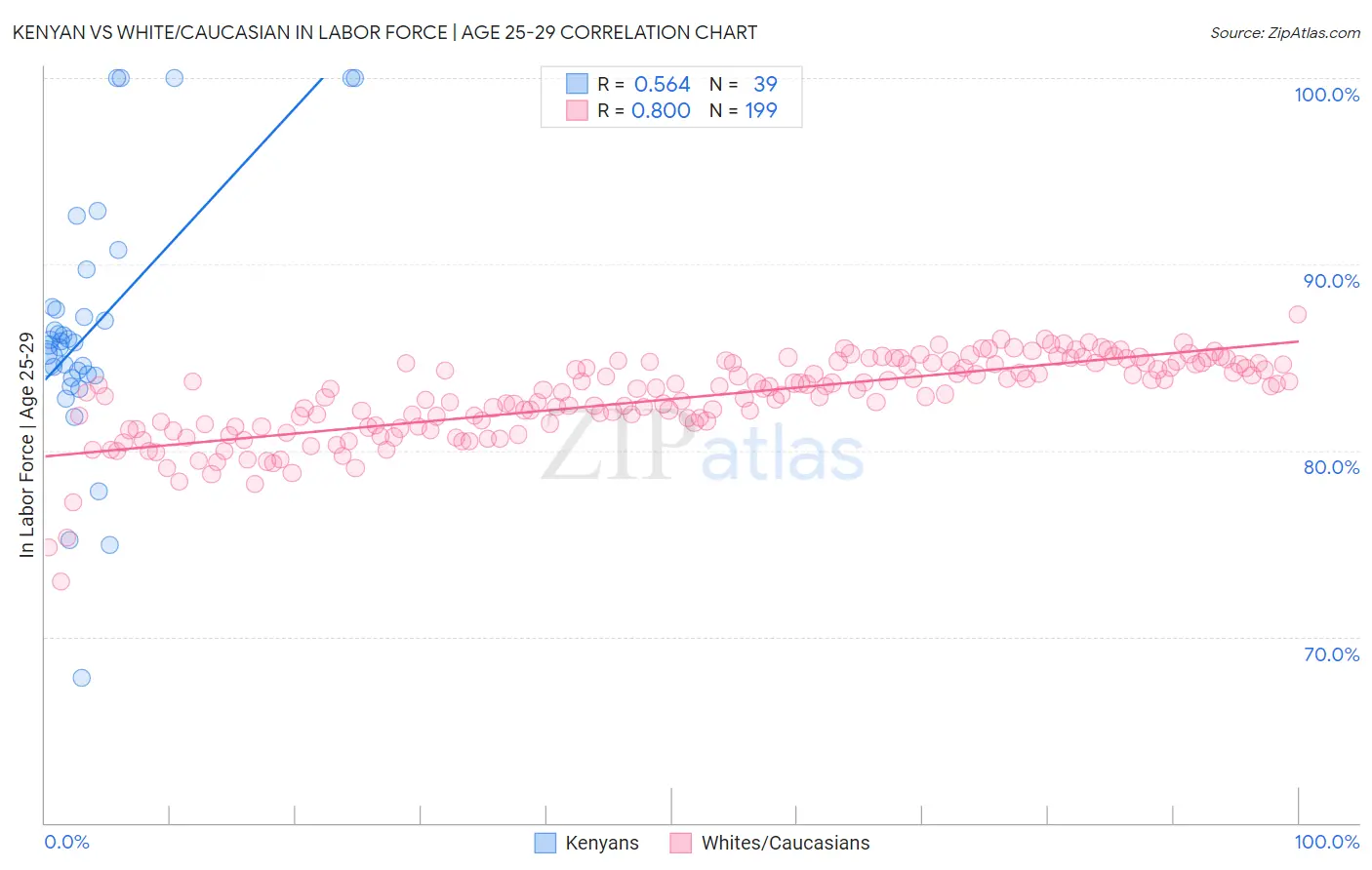 Kenyan vs White/Caucasian In Labor Force | Age 25-29