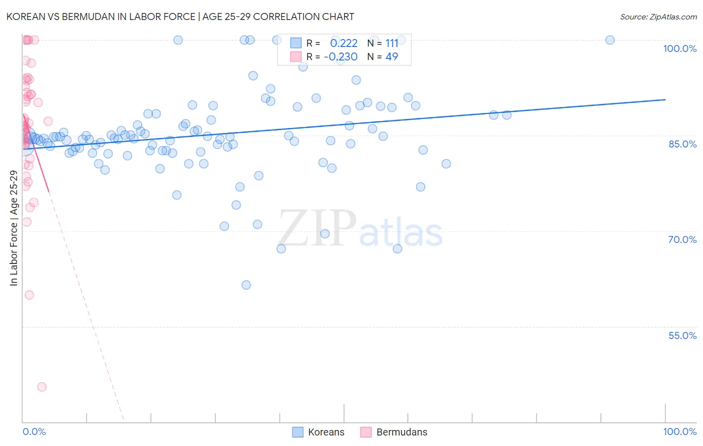 Korean vs Bermudan In Labor Force | Age 25-29