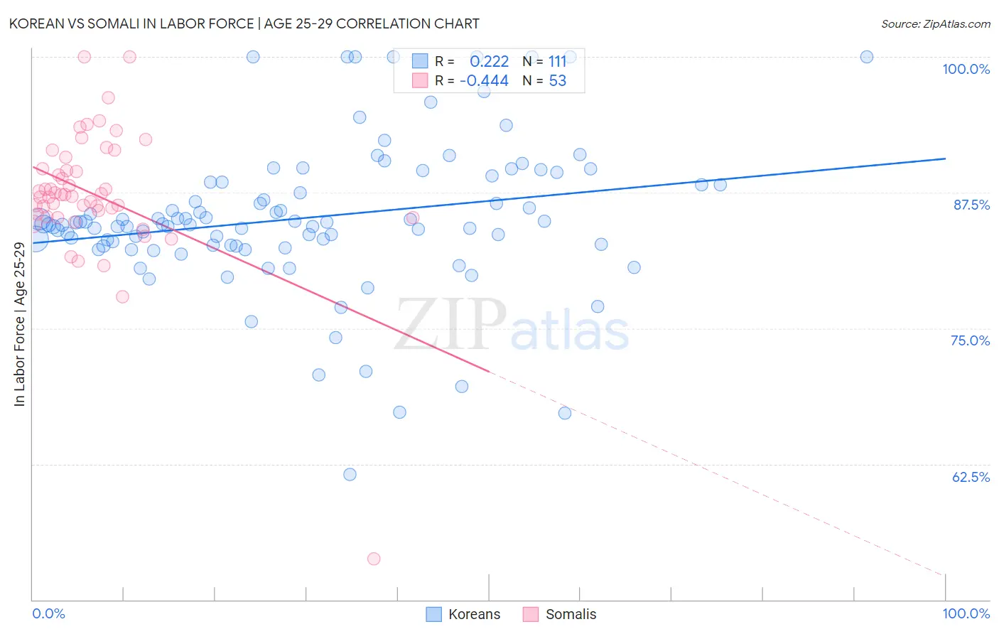 Korean vs Somali In Labor Force | Age 25-29