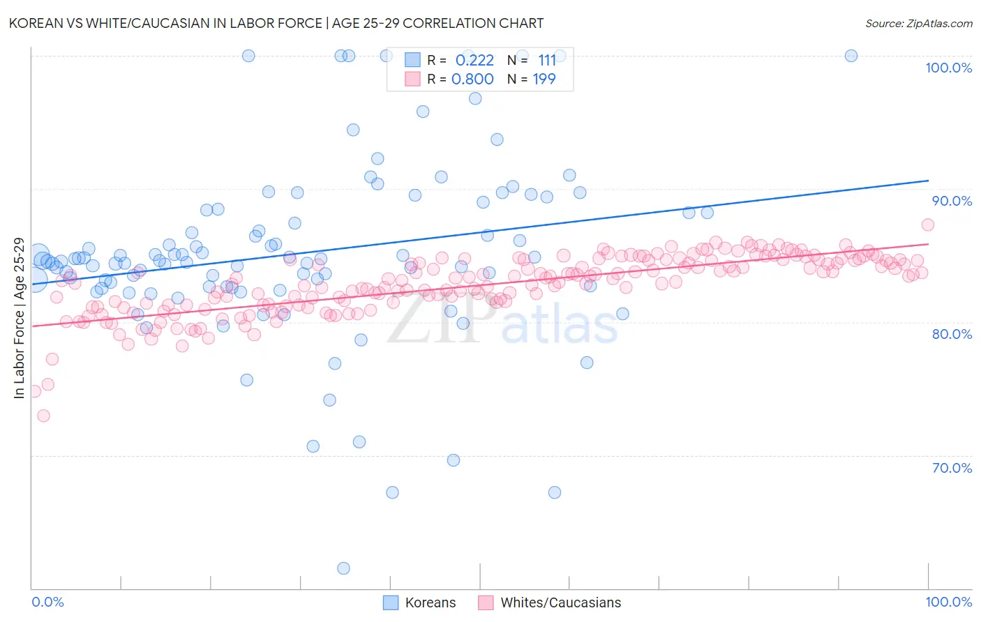 Korean vs White/Caucasian In Labor Force | Age 25-29