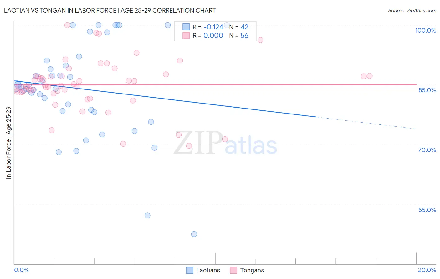 Laotian vs Tongan In Labor Force | Age 25-29