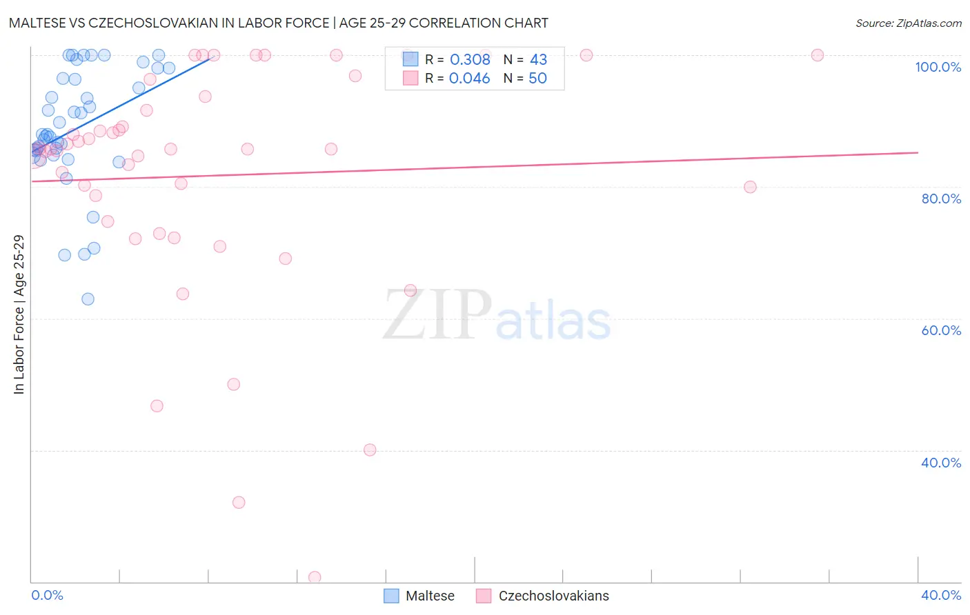 Maltese vs Czechoslovakian In Labor Force | Age 25-29