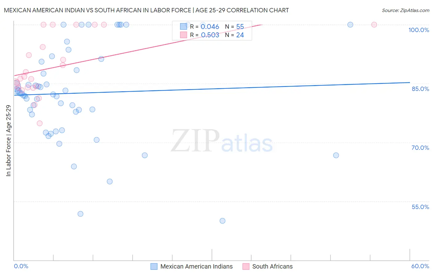 Mexican American Indian vs South African In Labor Force | Age 25-29