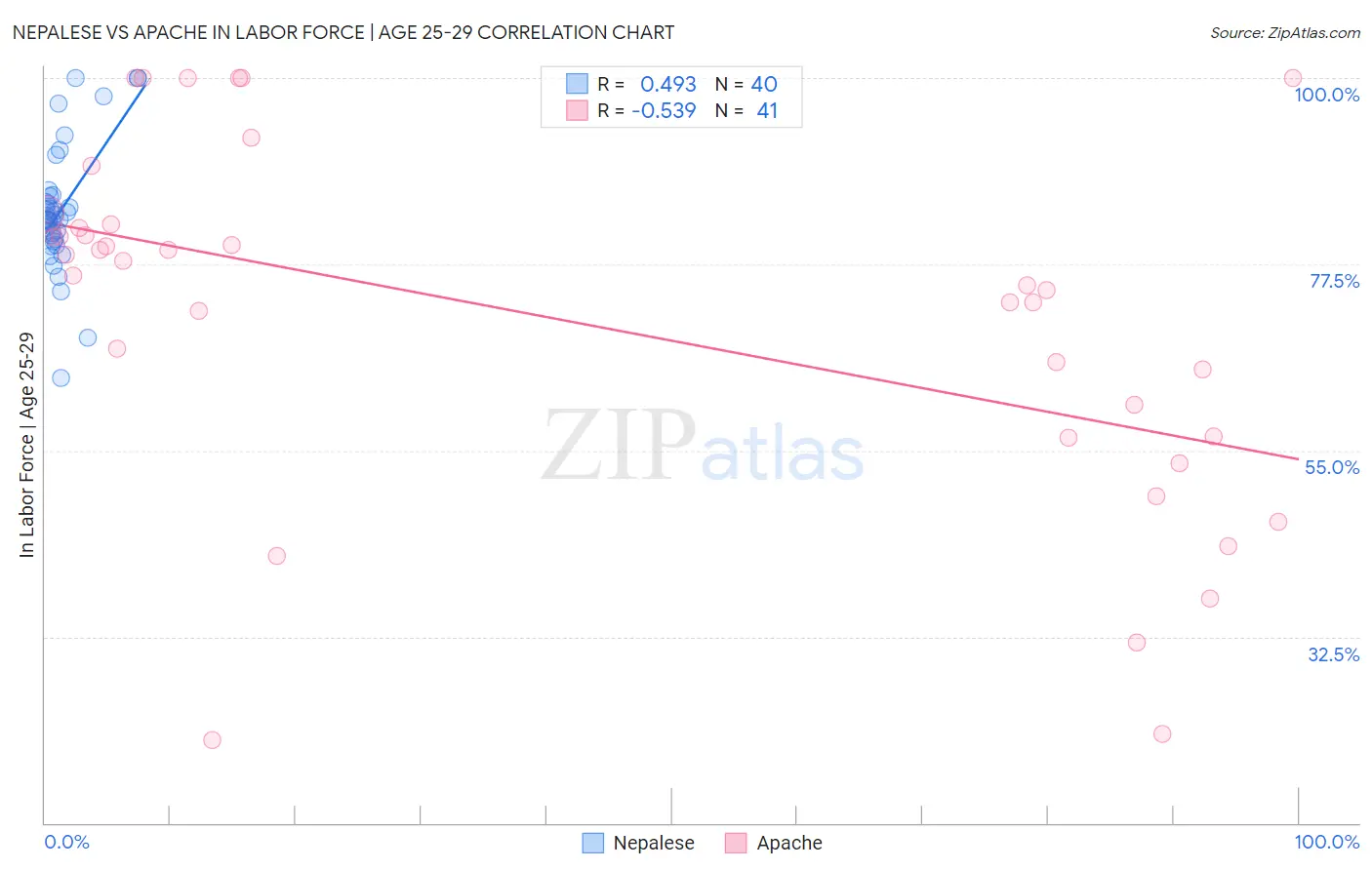 Nepalese vs Apache In Labor Force | Age 25-29