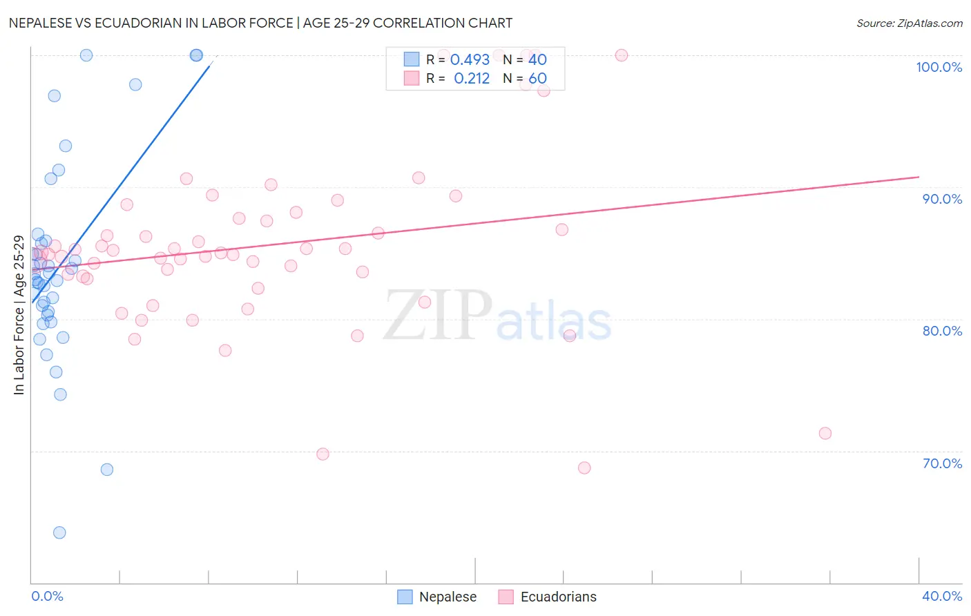 Nepalese vs Ecuadorian In Labor Force | Age 25-29