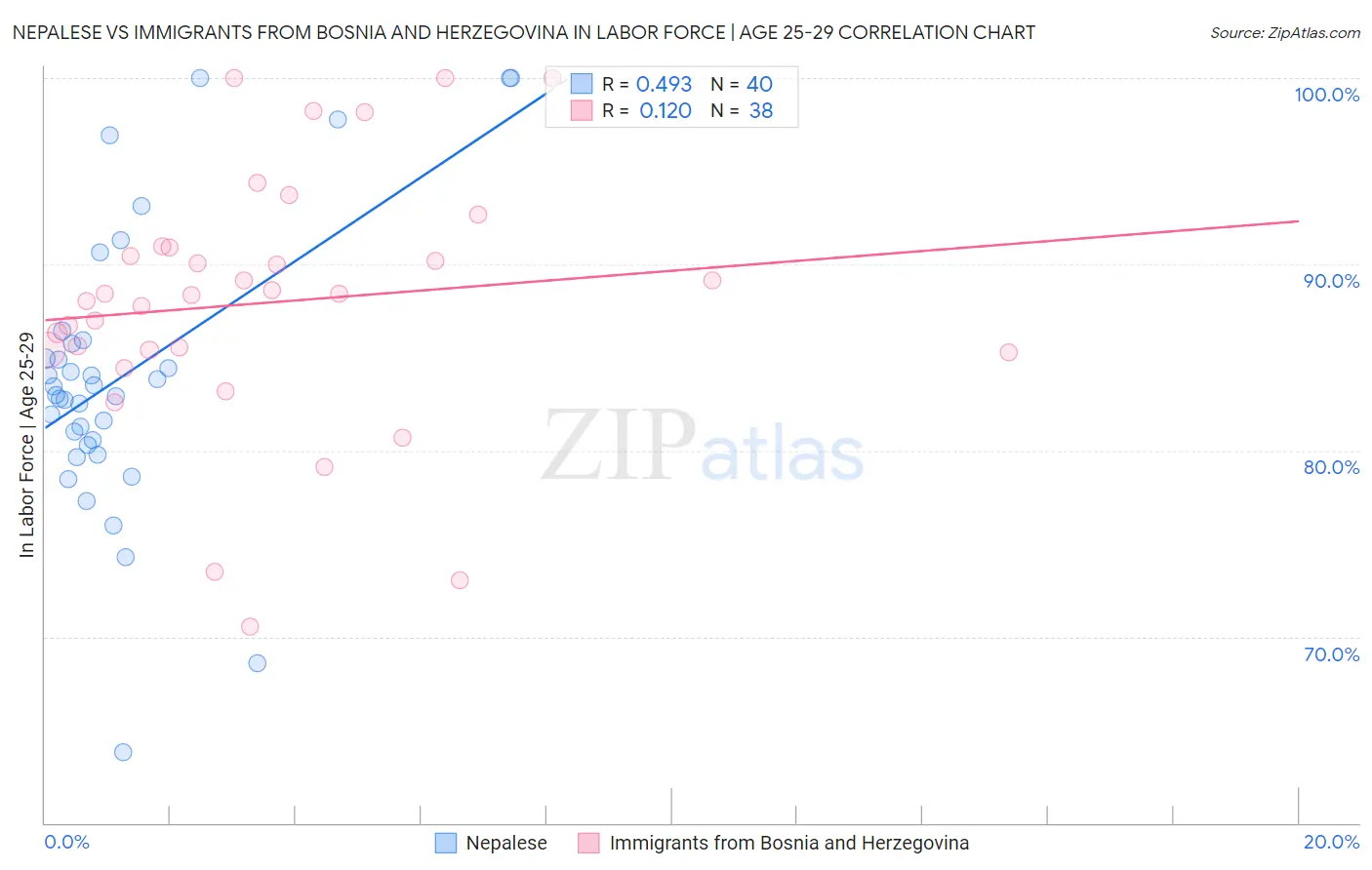 Nepalese vs Immigrants from Bosnia and Herzegovina In Labor Force | Age 25-29