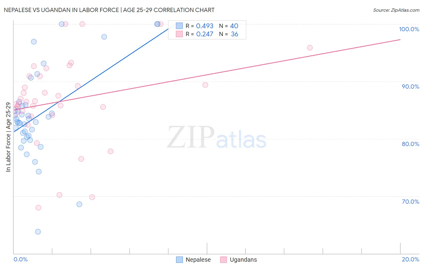 Nepalese vs Ugandan In Labor Force | Age 25-29