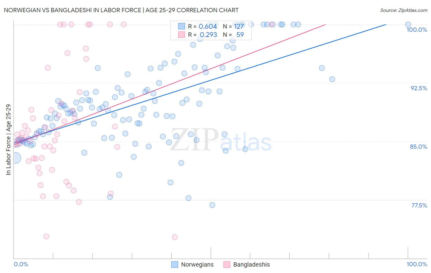 Norwegian vs Bangladeshi In Labor Force | Age 25-29