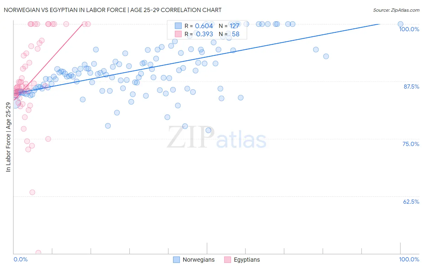 Norwegian vs Egyptian In Labor Force | Age 25-29