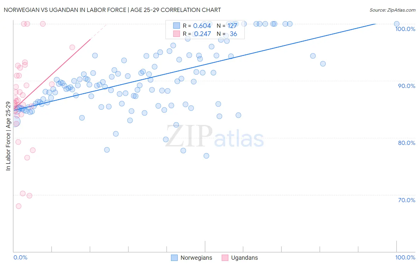 Norwegian vs Ugandan In Labor Force | Age 25-29