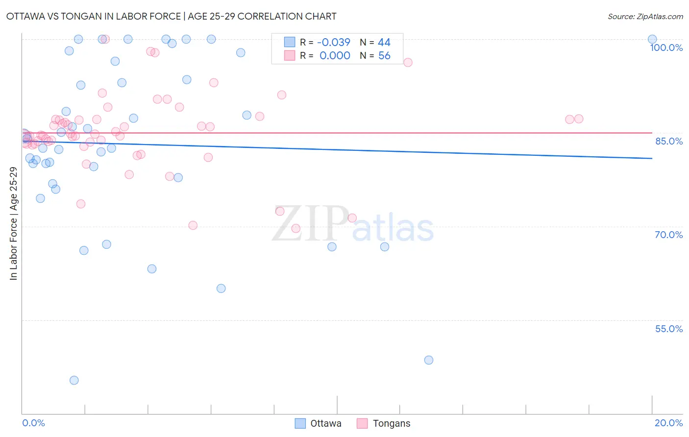 Ottawa vs Tongan In Labor Force | Age 25-29