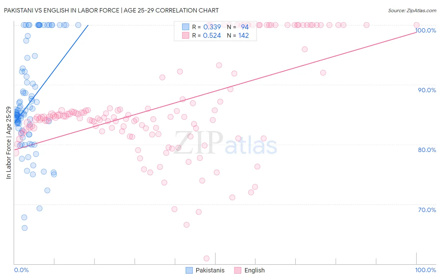 Pakistani vs English In Labor Force | Age 25-29