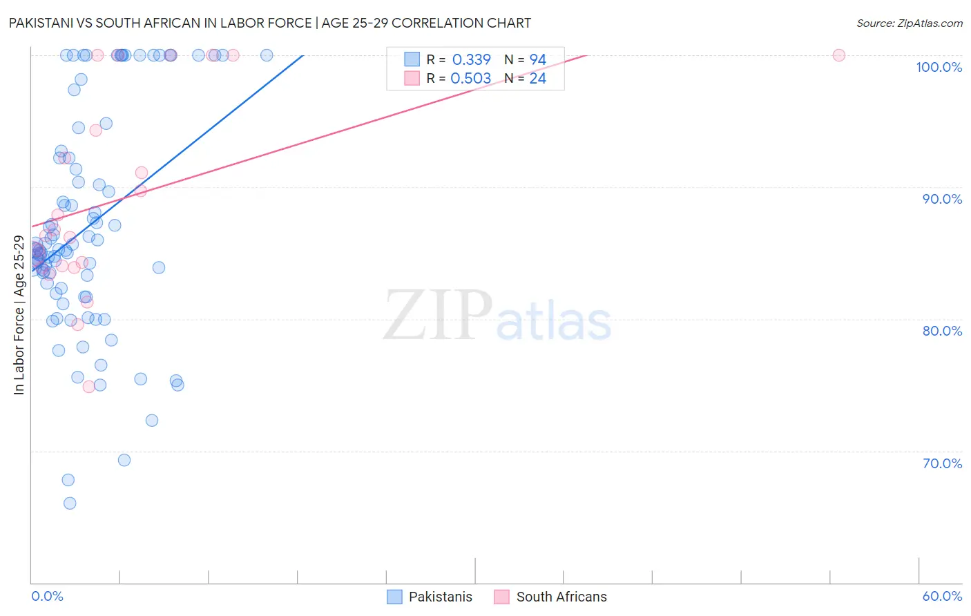 Pakistani vs South African In Labor Force | Age 25-29