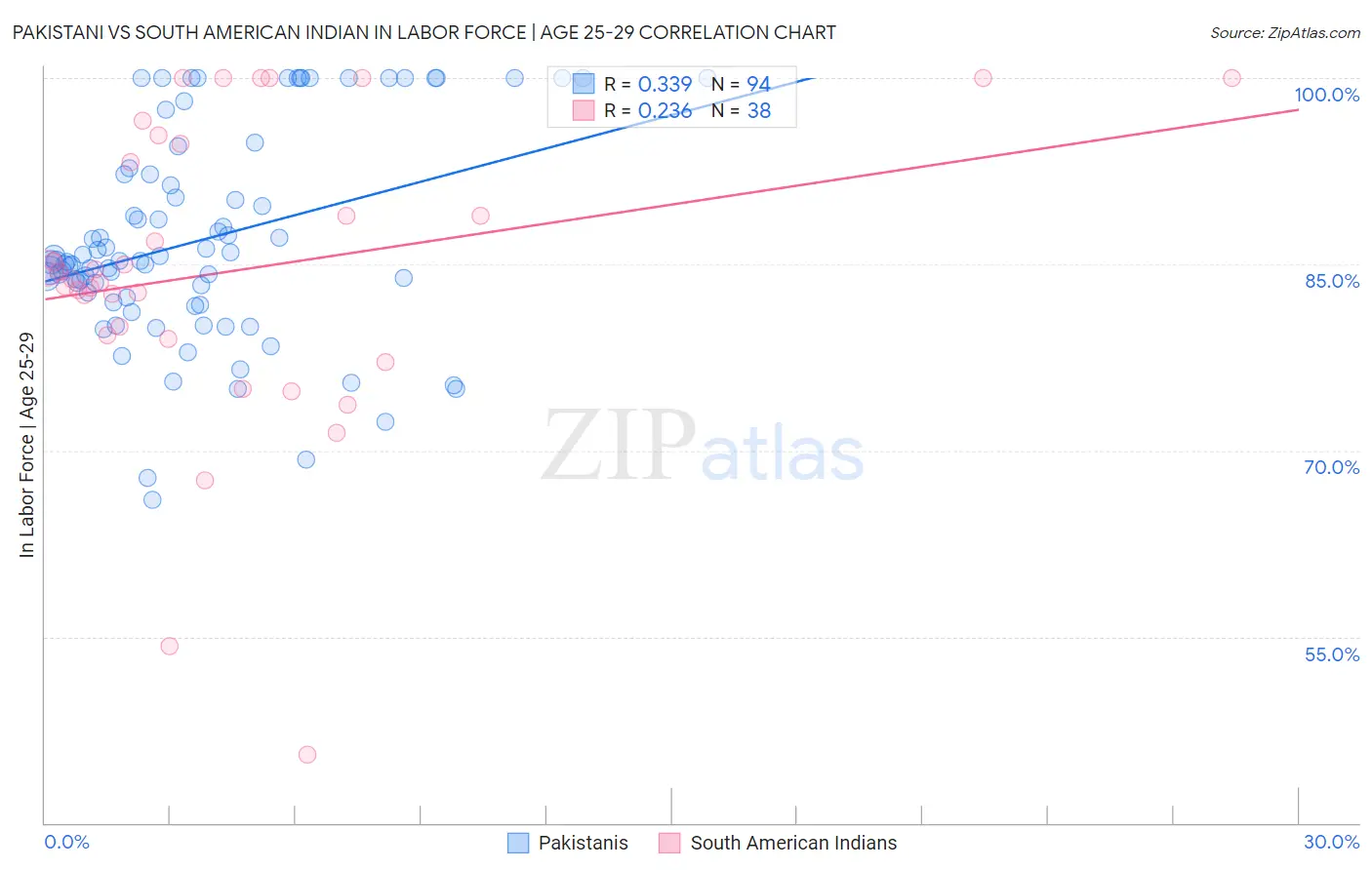 Pakistani vs South American Indian In Labor Force | Age 25-29