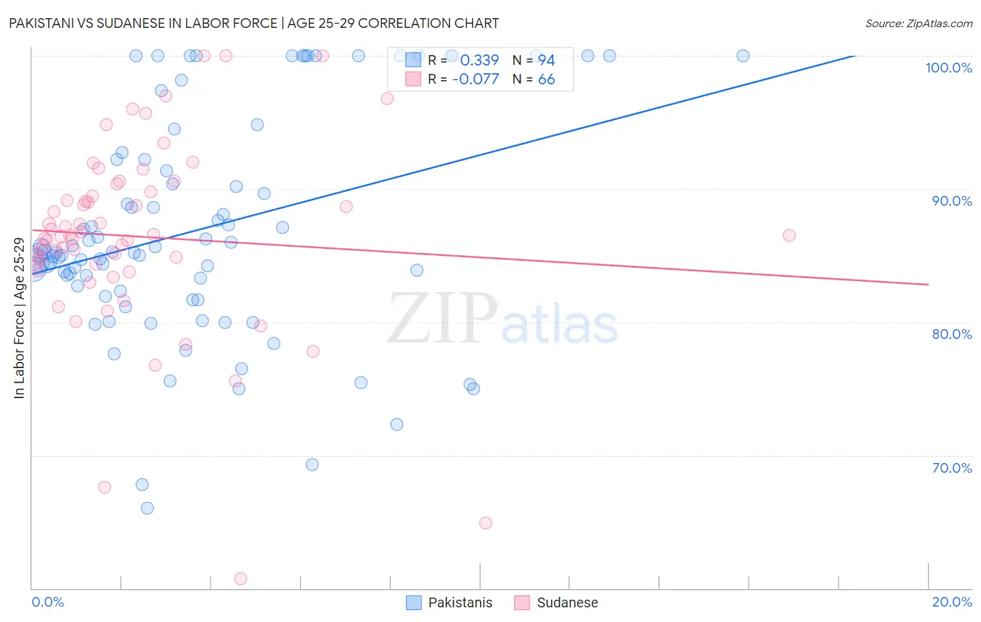 Pakistani vs Sudanese In Labor Force | Age 25-29