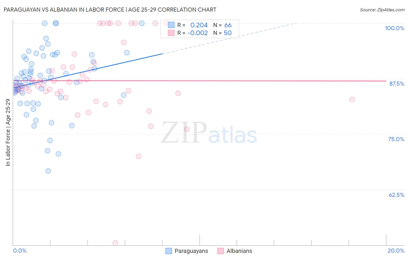 Paraguayan vs Albanian In Labor Force | Age 25-29