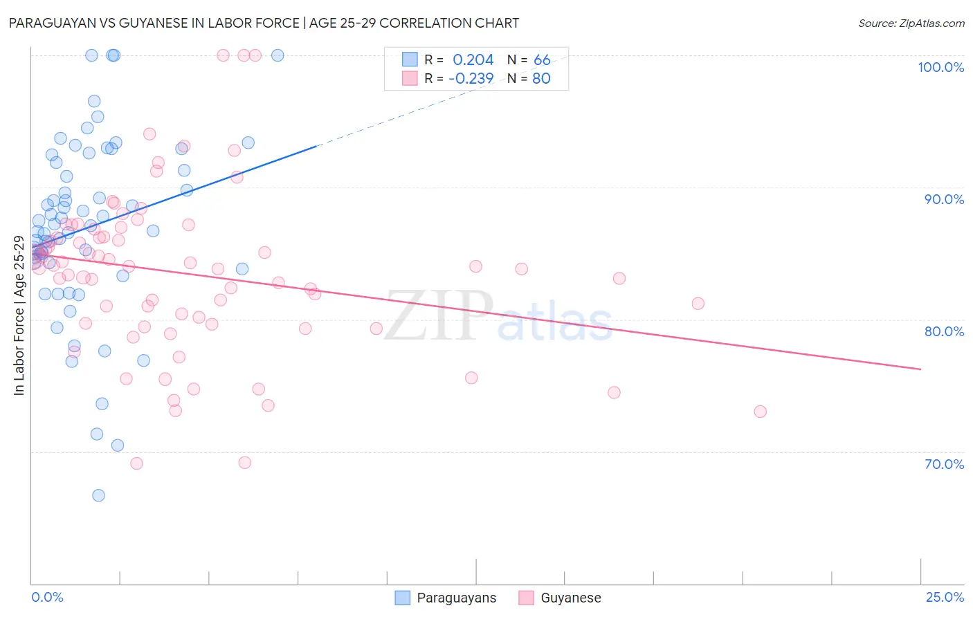 Paraguayan vs Guyanese In Labor Force | Age 25-29