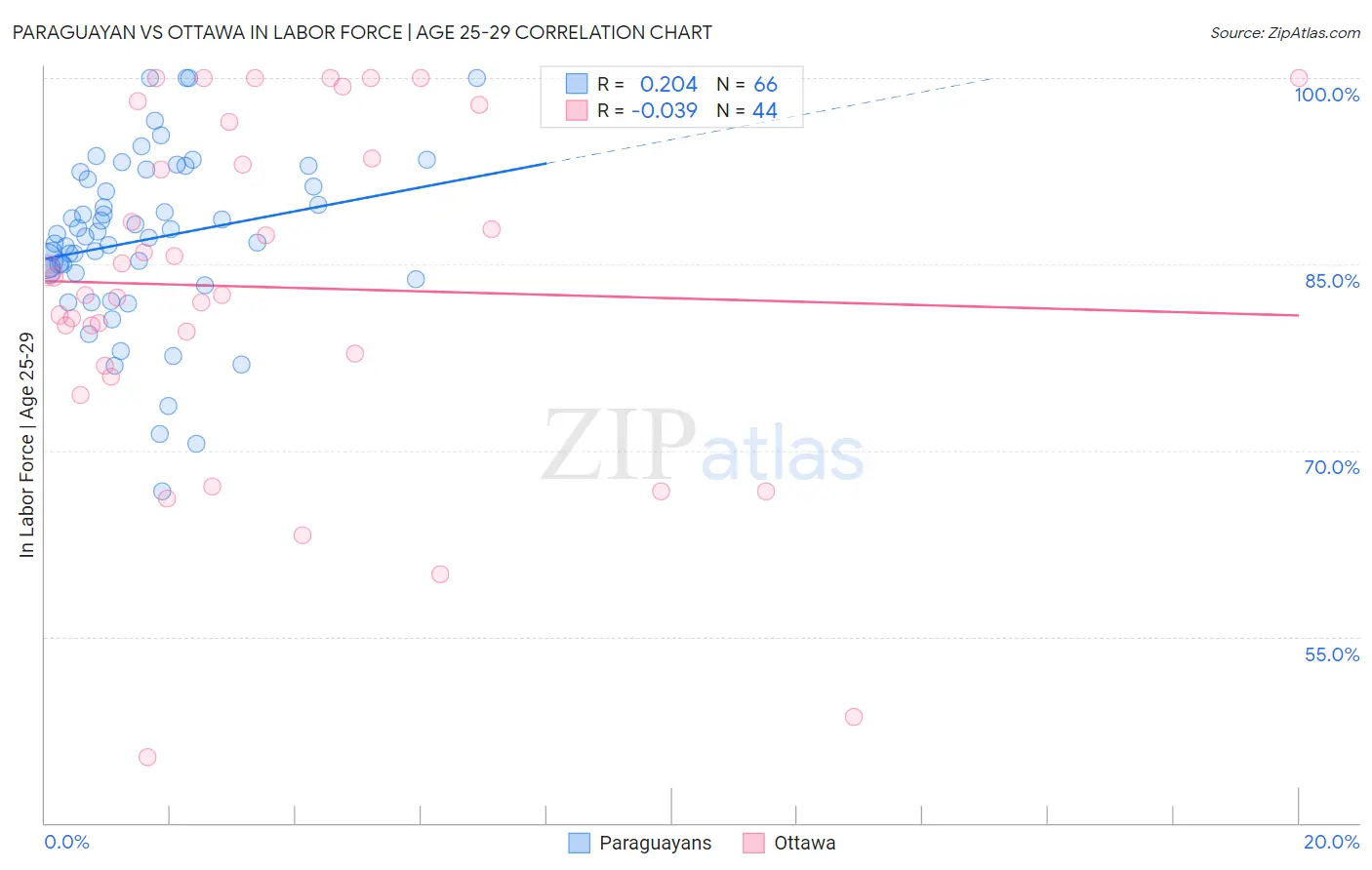 Paraguayan vs Ottawa In Labor Force | Age 25-29