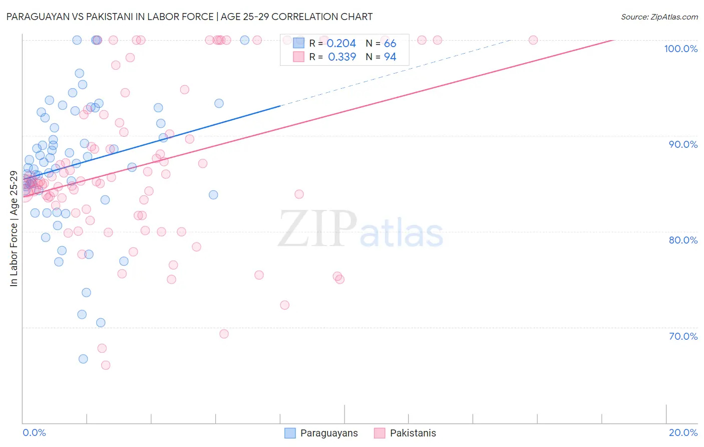 Paraguayan vs Pakistani In Labor Force | Age 25-29