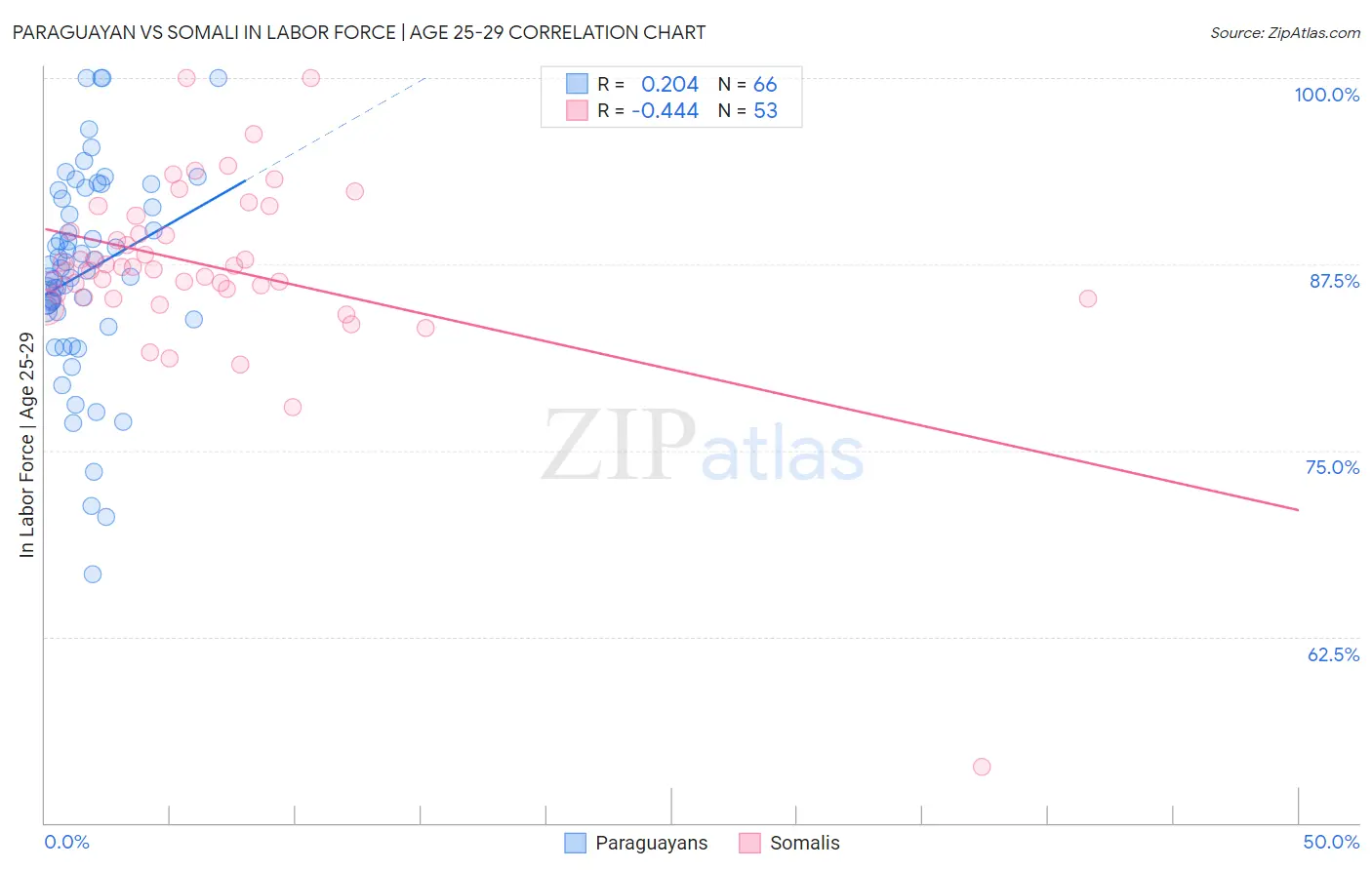 Paraguayan vs Somali In Labor Force | Age 25-29