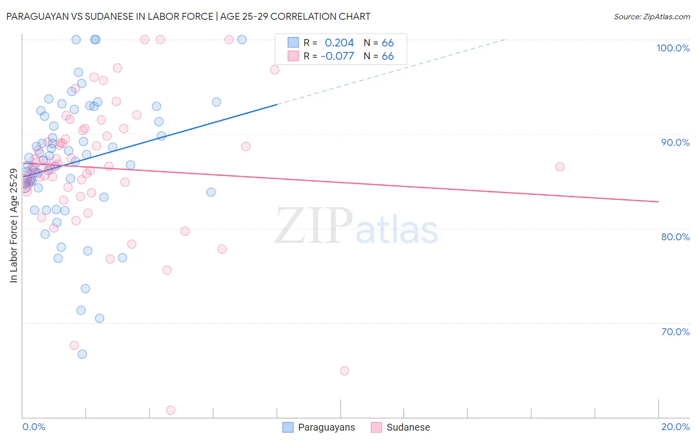 Paraguayan vs Sudanese In Labor Force | Age 25-29