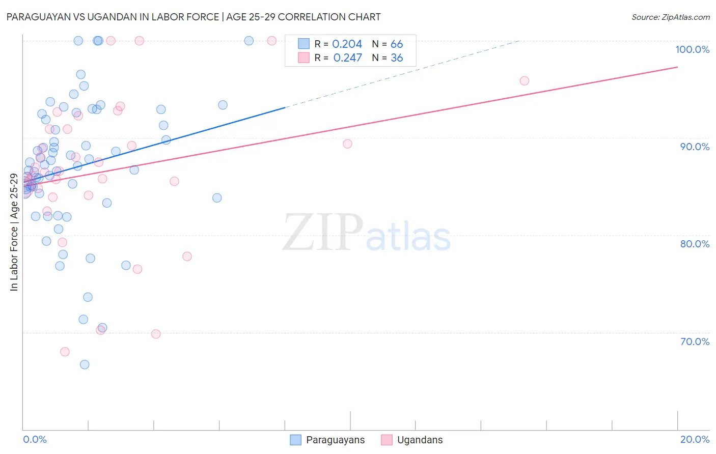 Paraguayan vs Ugandan In Labor Force | Age 25-29