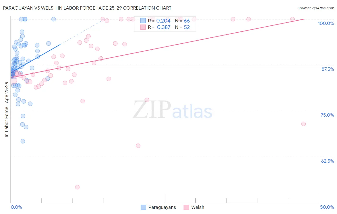 Paraguayan vs Welsh In Labor Force | Age 25-29