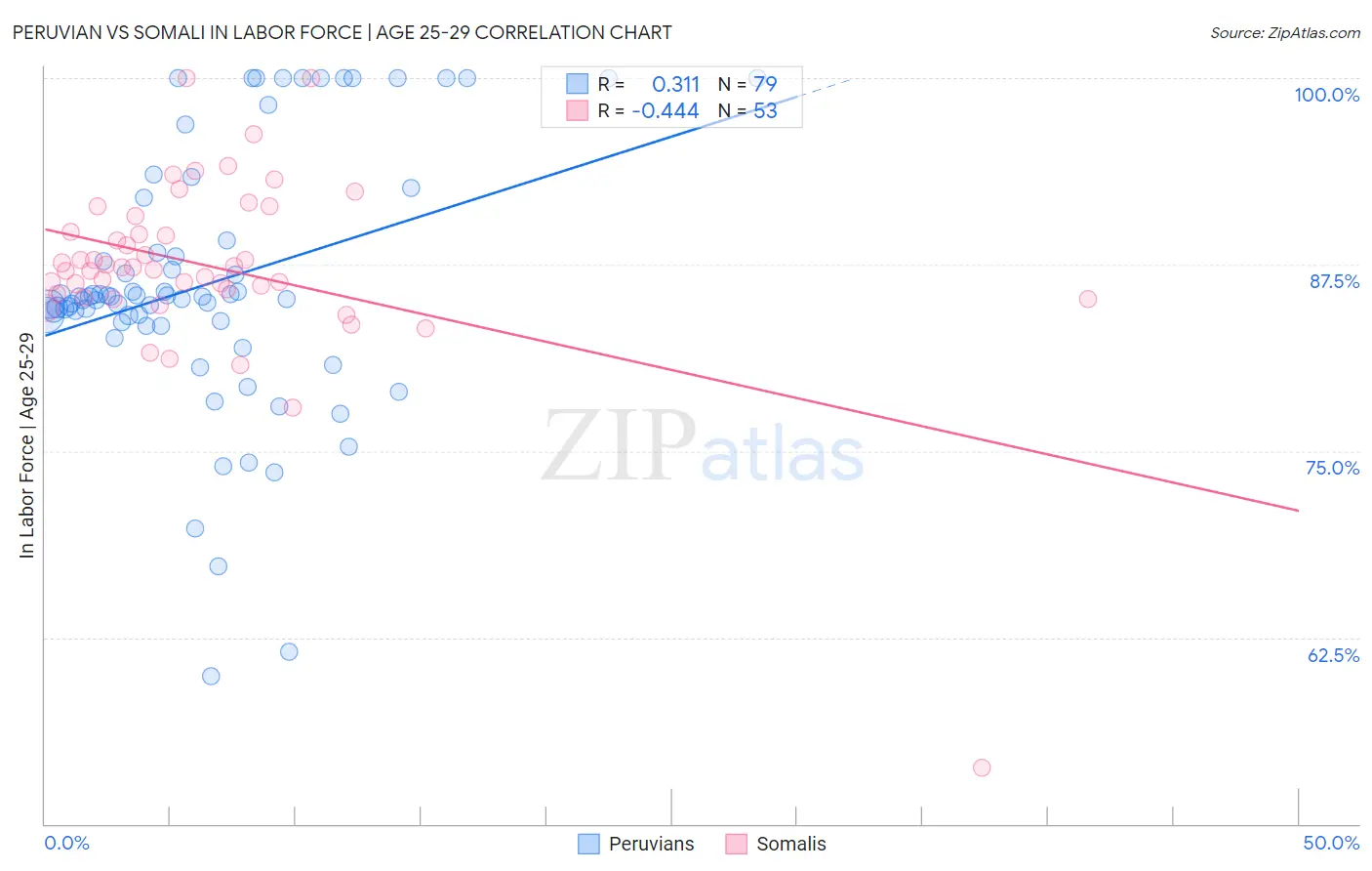 Peruvian vs Somali In Labor Force | Age 25-29