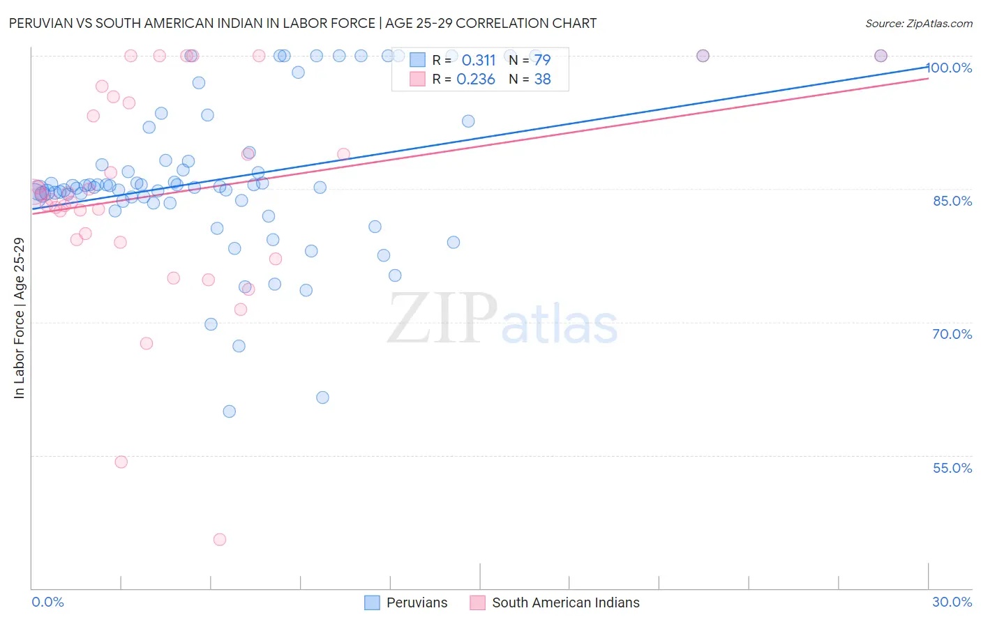 Peruvian vs South American Indian In Labor Force | Age 25-29