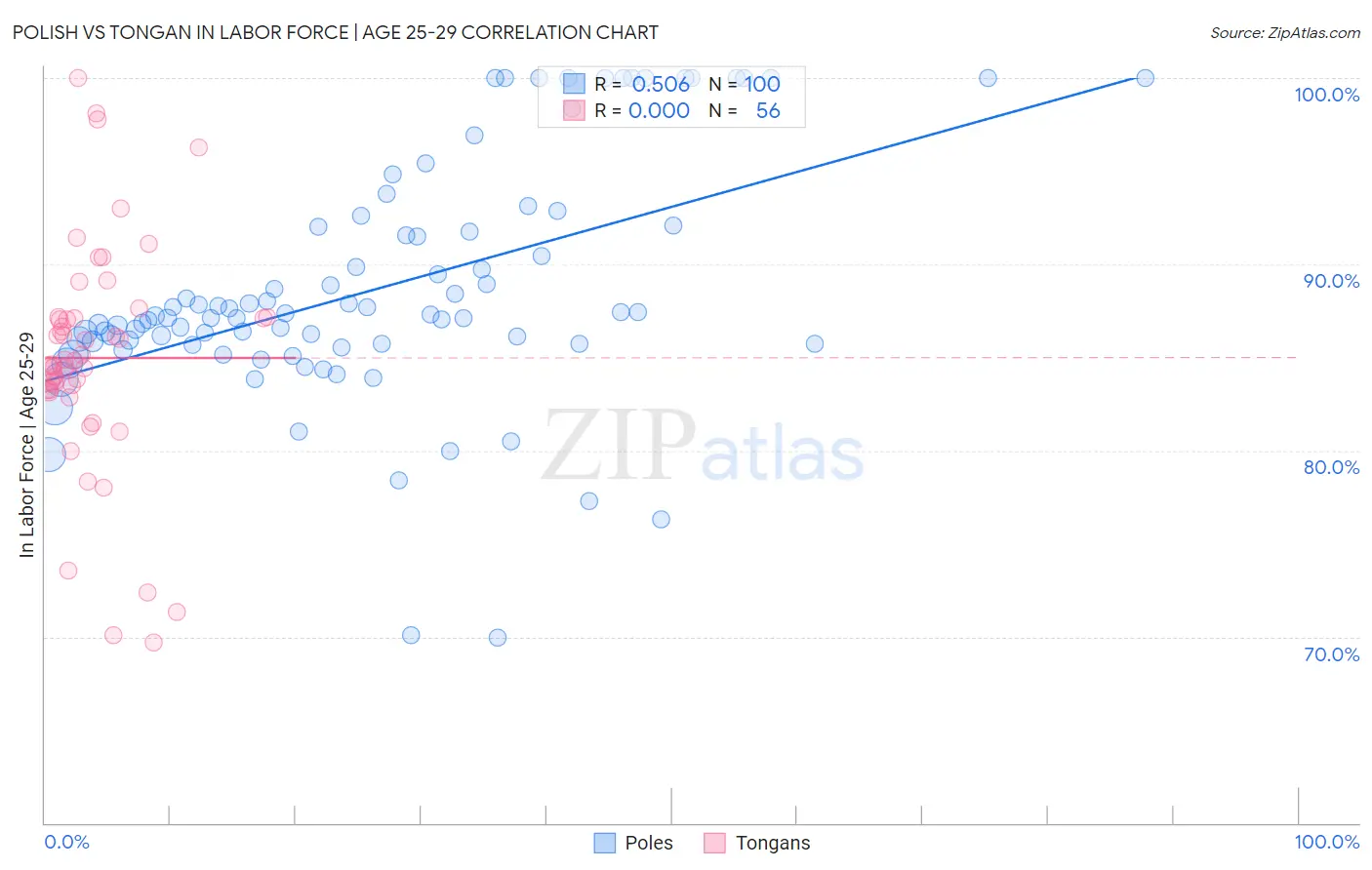 Polish vs Tongan In Labor Force | Age 25-29