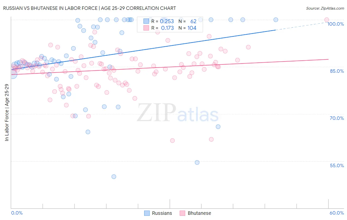 Russian vs Bhutanese In Labor Force | Age 25-29